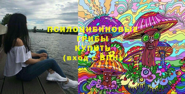 таблы Няндома