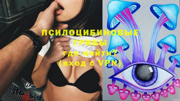 молекула духа Нязепетровск