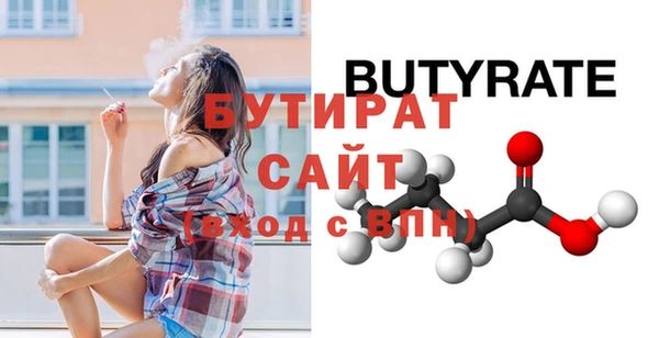 гашик Ельня
