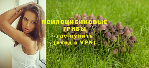 мескалин Нягань