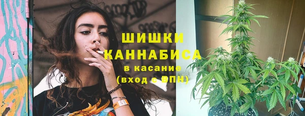 таблы Няндома