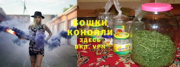 молекула духа Нязепетровск