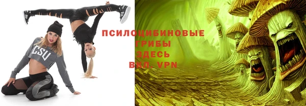ешки Вуктыл