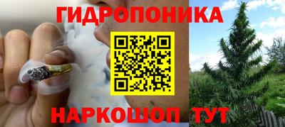 соль курить ск Аргун