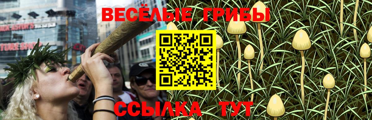 Апшеронск  Галлюциногенные грибы мицелий  Псилоцибиновые грибы Psilocybine cubensis  Вход с VPN 