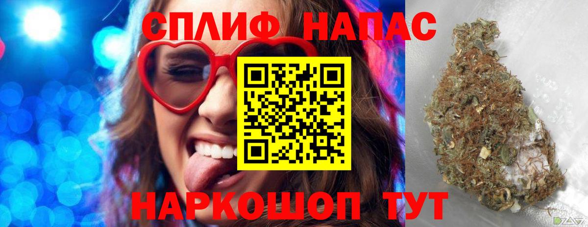 Каннабис планчик Апшеронск